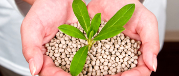 お客様と地球環境に優しい企業を目指しています。