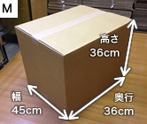 ダンボール（M）